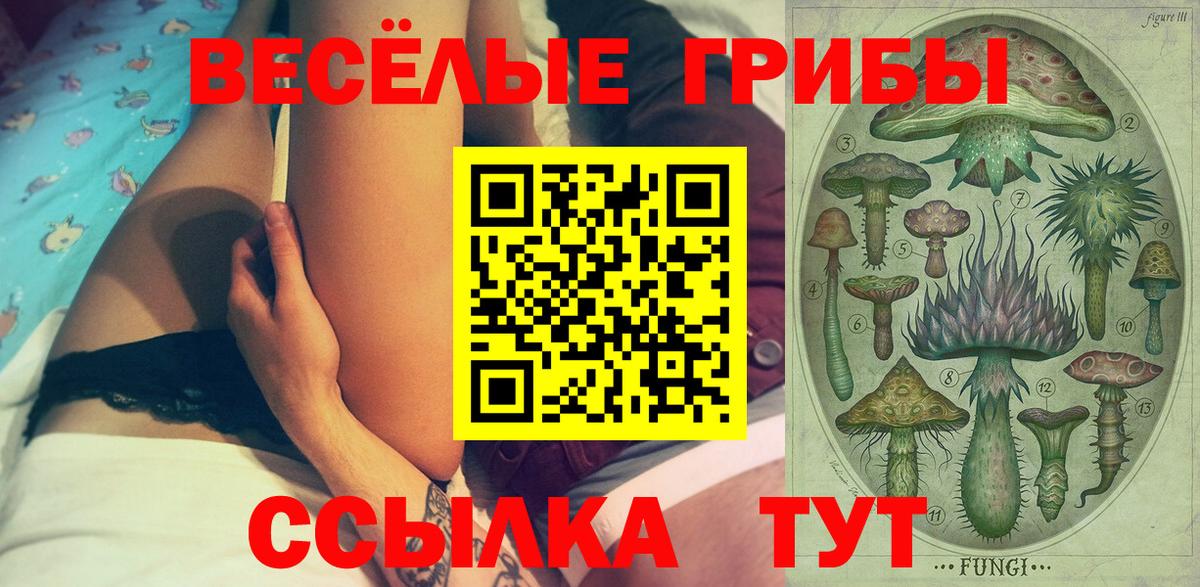 Галлюциногенные грибы Magic Shrooms  Вход с VPN  Псилоцибиновые грибы Psilocybe  Черногорск 